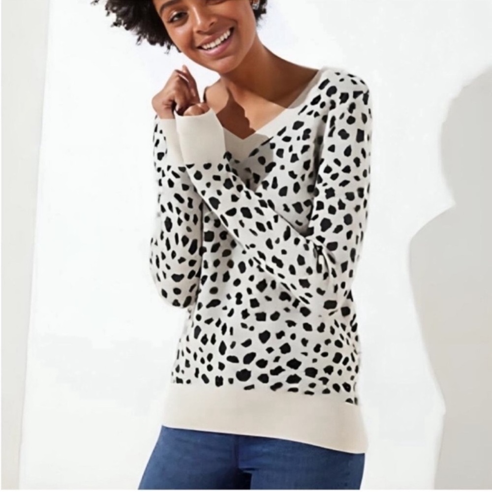 LOFT Cream and Black V-Neck Sweater